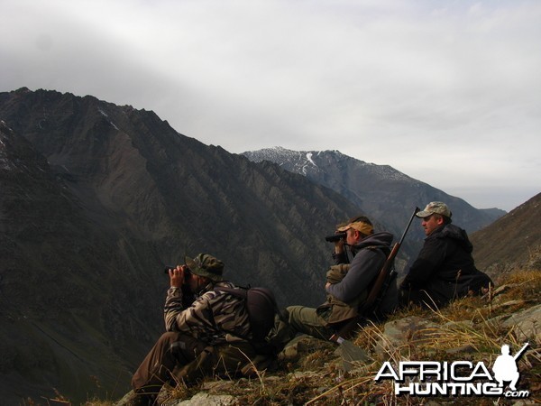 Glassing for Ibex