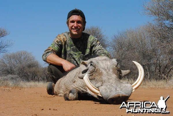 Warthog - Spiral Horn Safaris