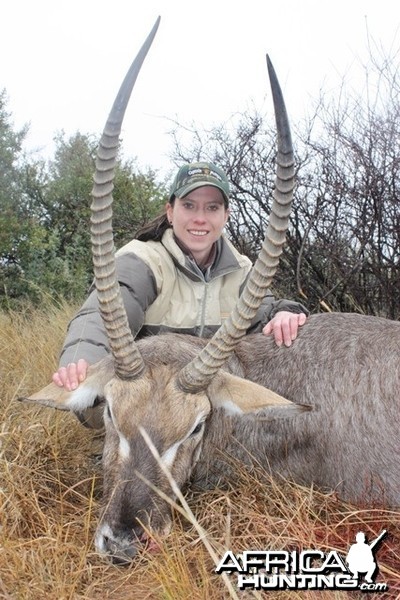 Waterbuck - South Africa