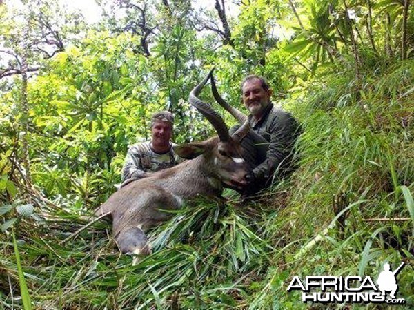 Mountain Nyala Ethiopia