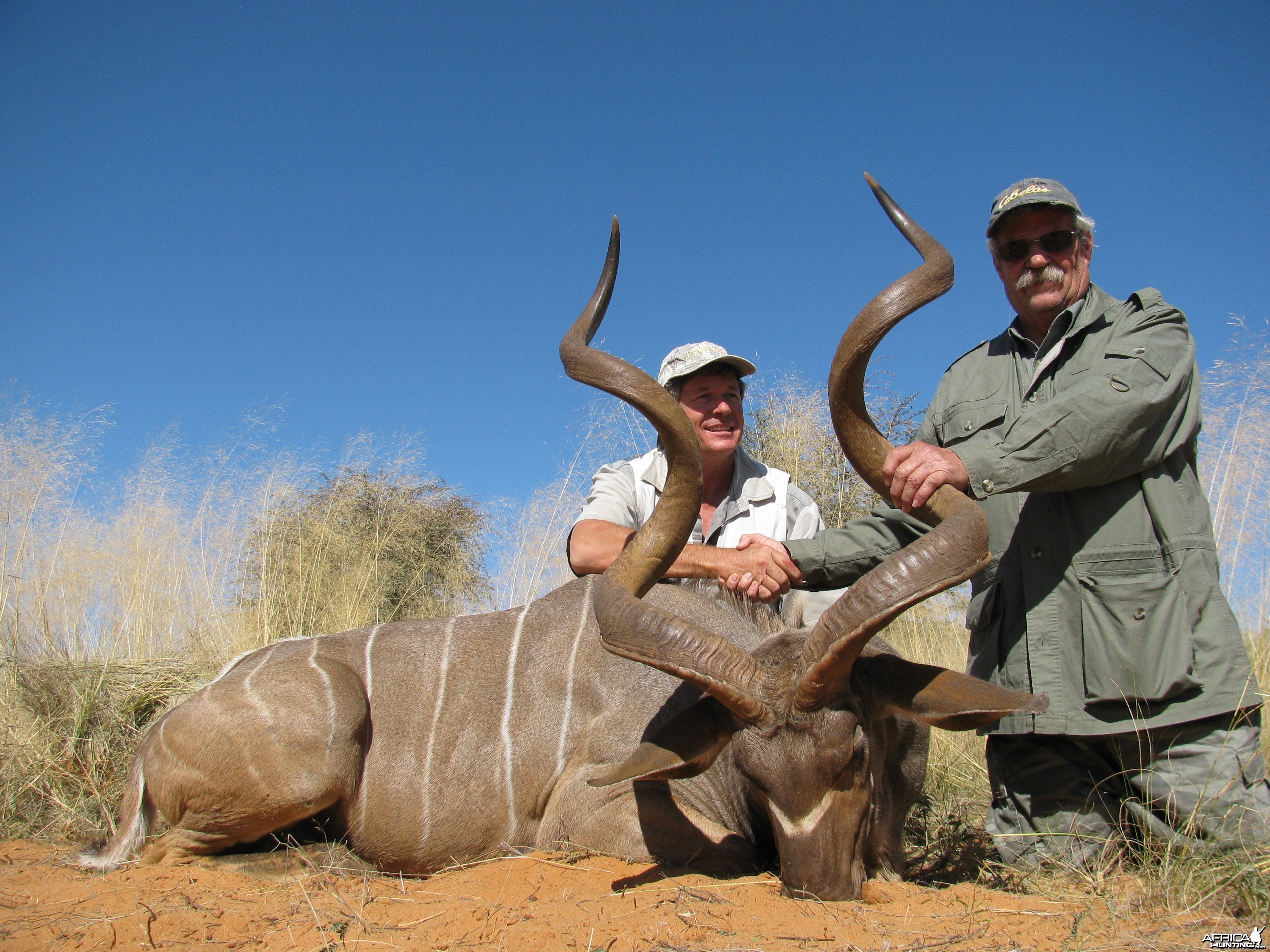 59 1/2 and 62 inch Kudu hunted in Namibia