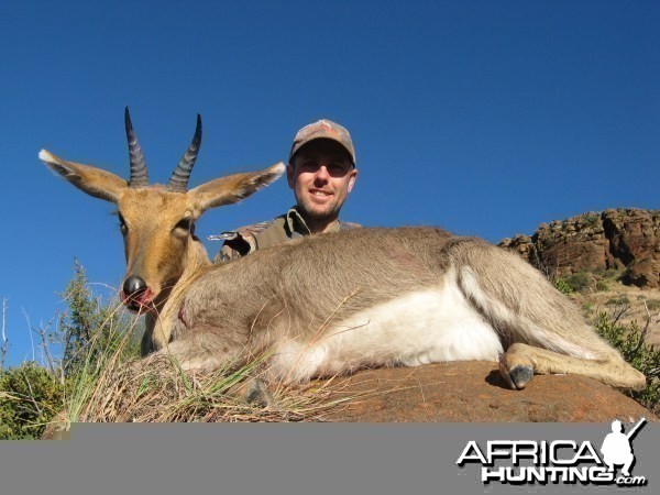 Mountain Reedbuck