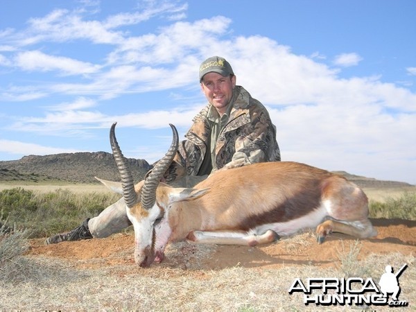 Springbok