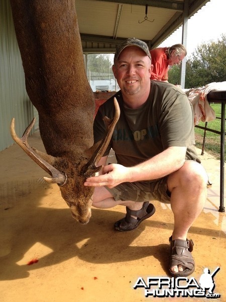 Hog Deer Australia