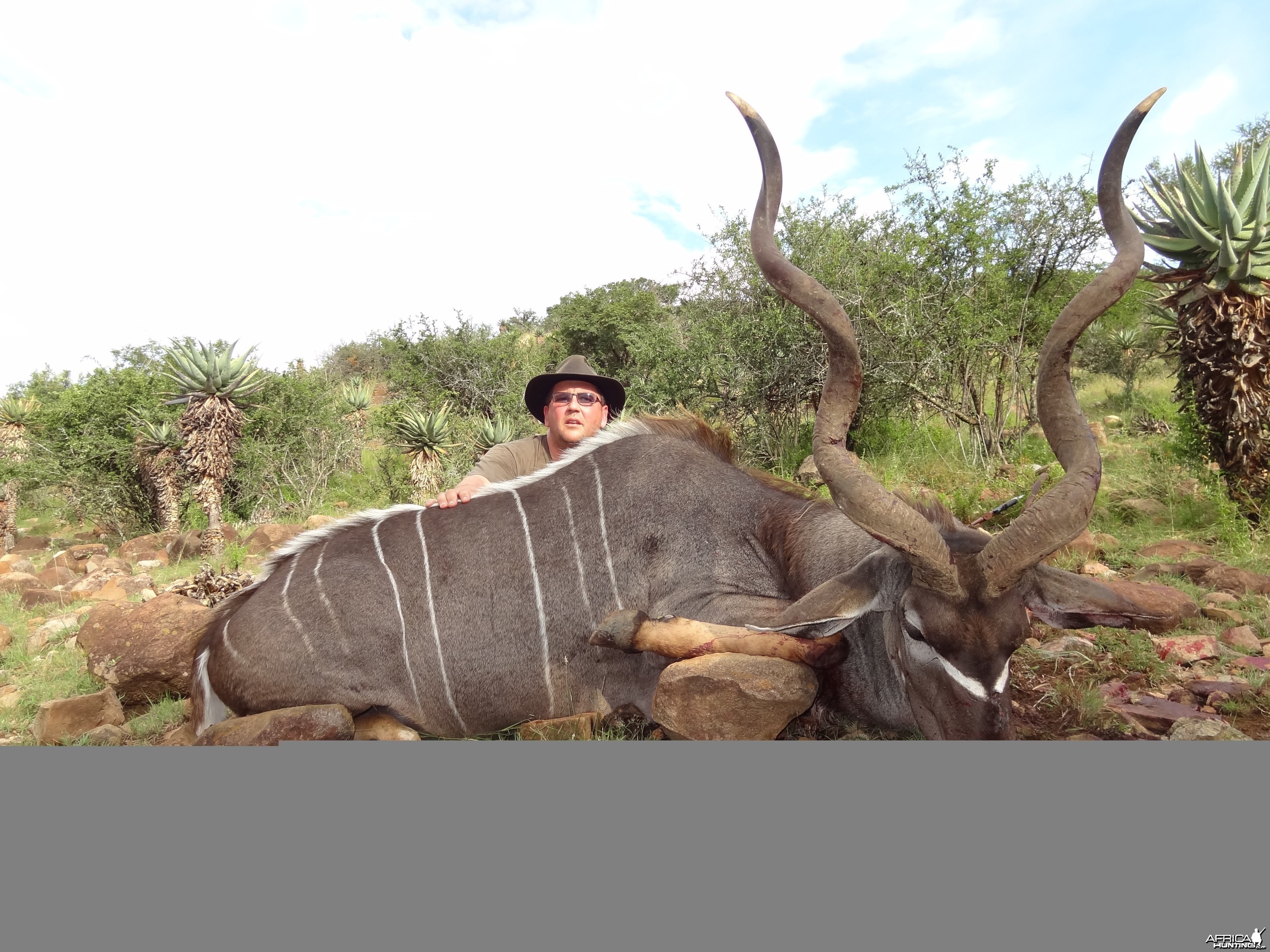 East Cape Kudu