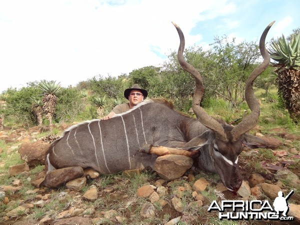 East Cape Kudu