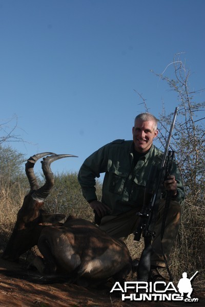 Red Hartebeest hunted w/ Motswere Safaris