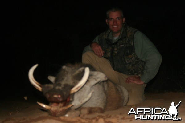 Warthog Hunted w/ Motshwere Safaris