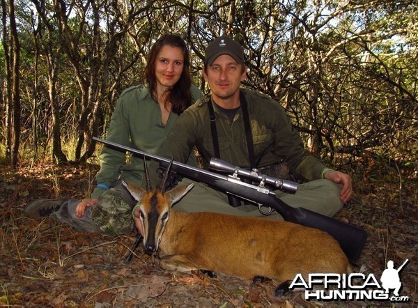 Agolan Bush Duiker