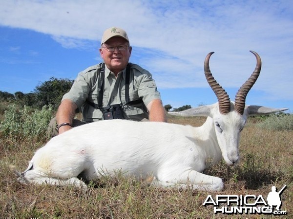 White Springbok