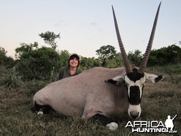 Gemsbok