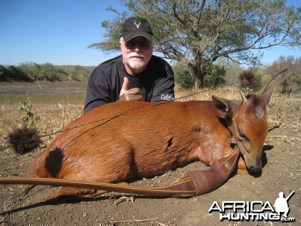 Red Duiker with my Longbow