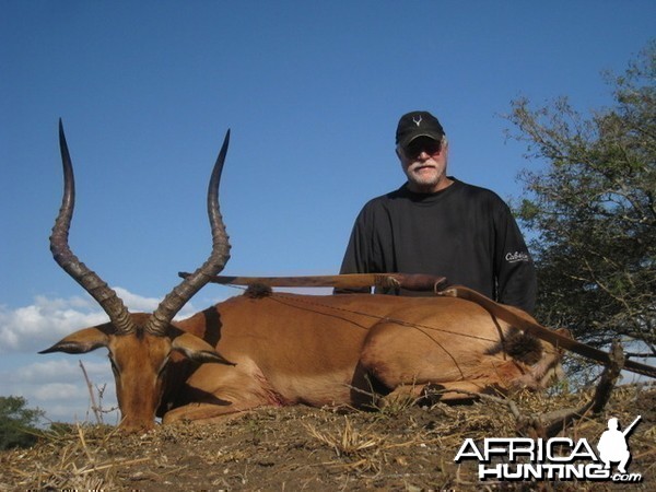 Impala with my Longbow