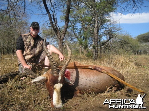 Blesbok with my Longbow