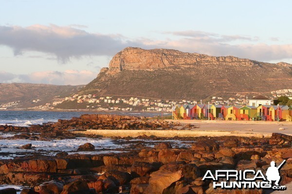 Muizenberg  environs