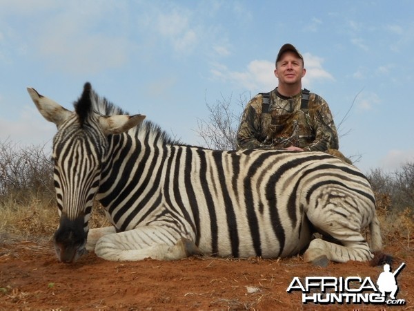 Monte Abshier BURCHELL ZEBRA