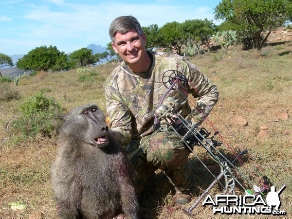 Eastern Cape baboon