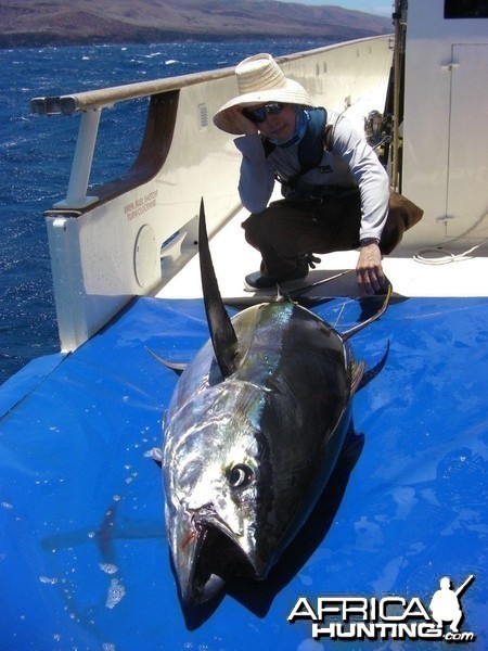 Clipperton (French) Yellowfin Tuna