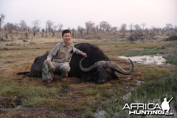 Zimbabwe Buffalo - 2