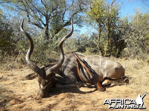 Kudu