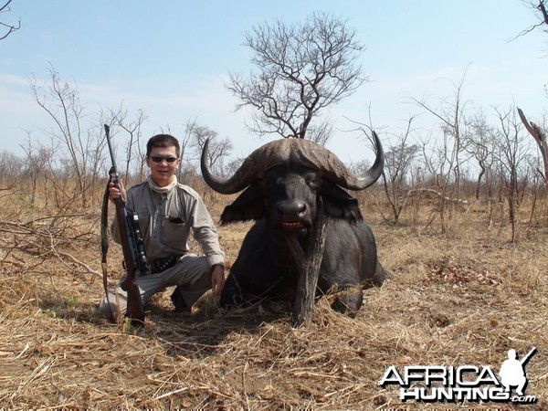 Zimbabwe Buffalo - 3