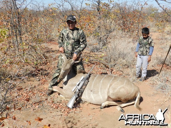 kudu