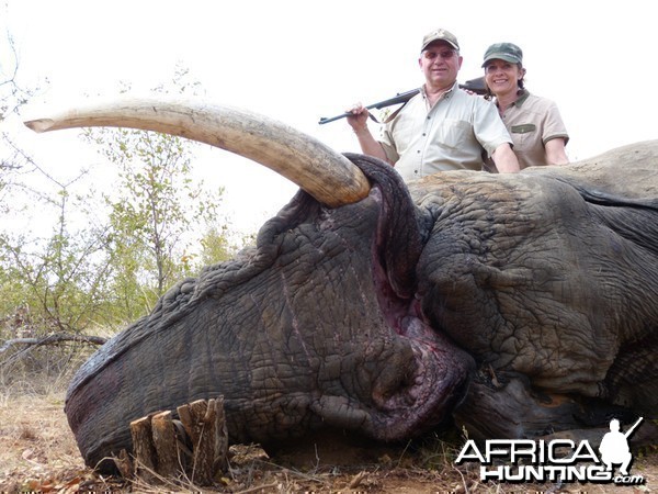 Ekephant hunted with Wintershoek Johnny Vivier Safaris