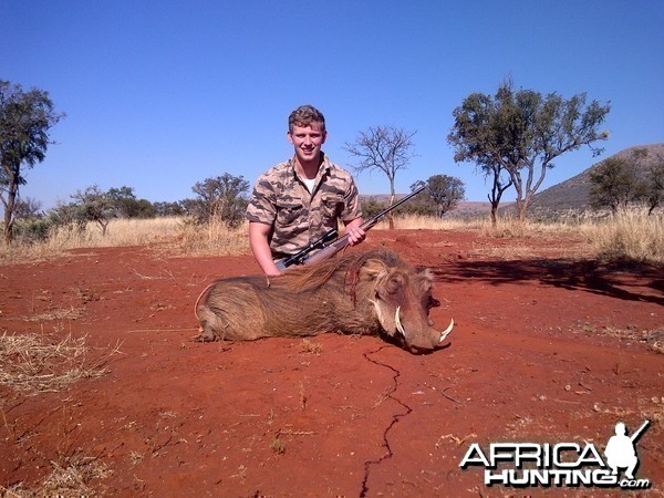 warthog hunt