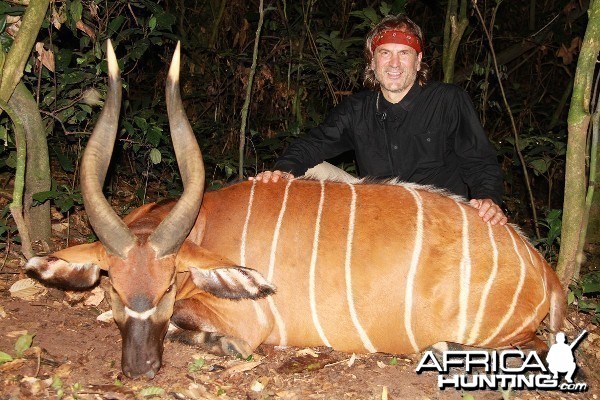 Congo Safaris - Trophys taken this season so far