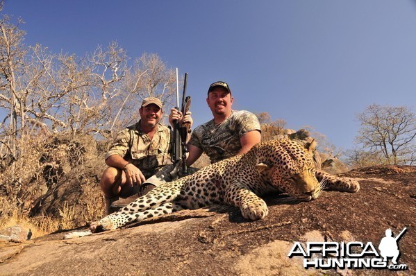 Zimbabwe Leopard