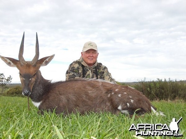 Bushbuck