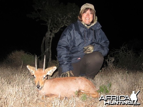 Steenbok