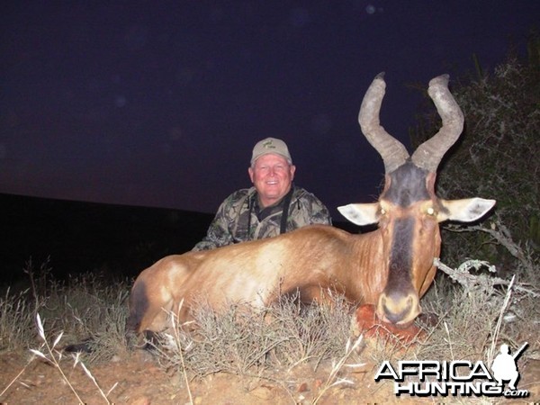 Hartebeest