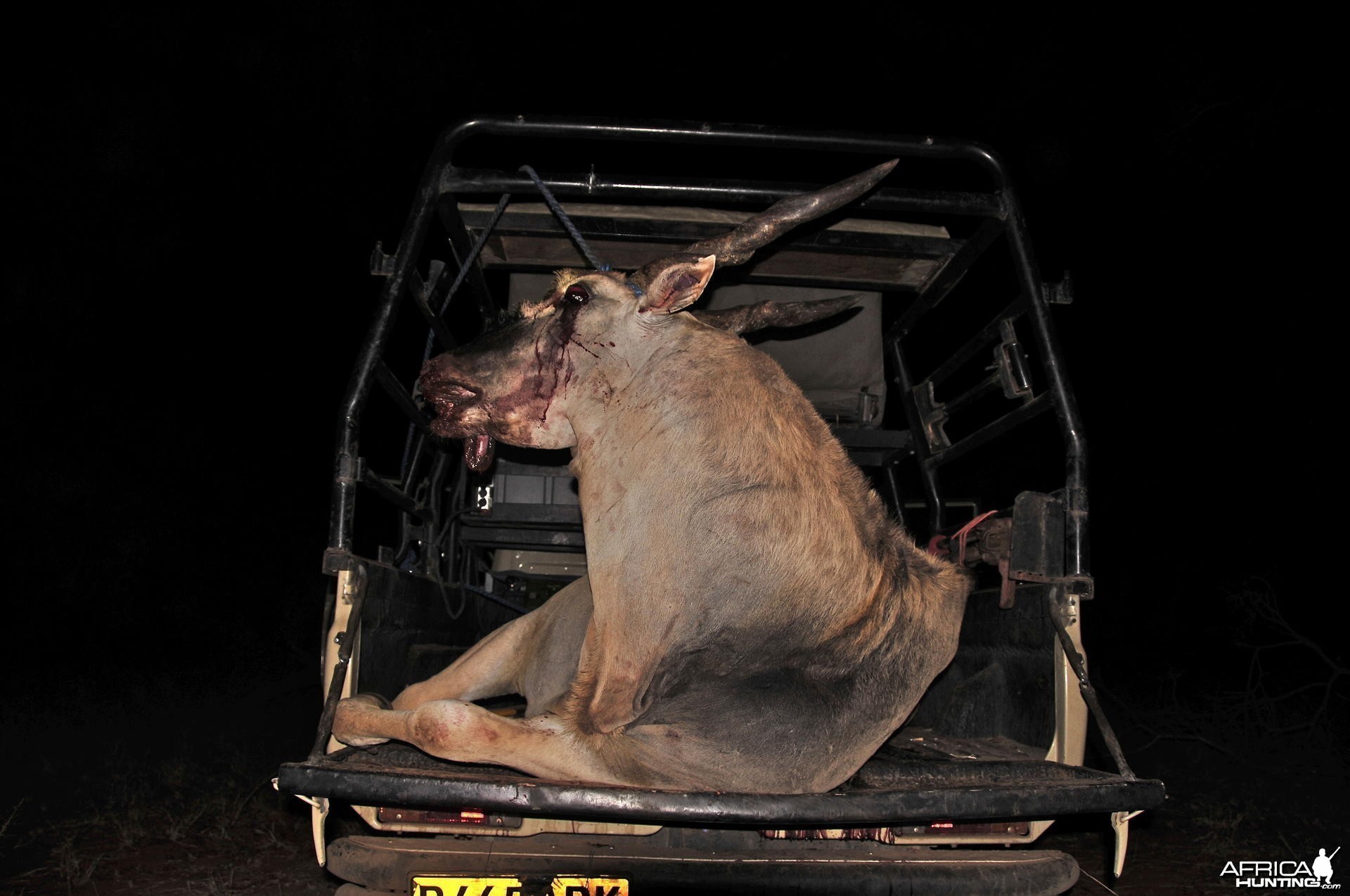 Eland