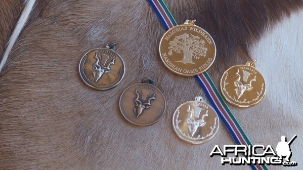 NAPHA medals