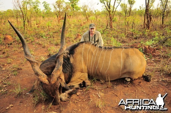 53 inch Lord Derby Eland