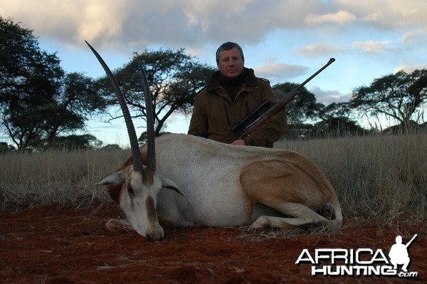 Scimitar Oryx