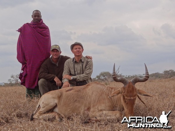 Coke Hartebeest Tanzania