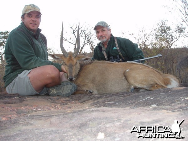 Bushbuck.