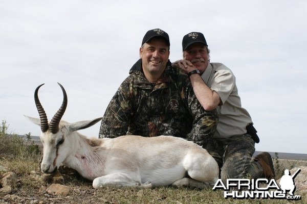 White Springbuck