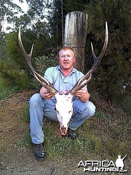 28 inch samba stag taken 2011