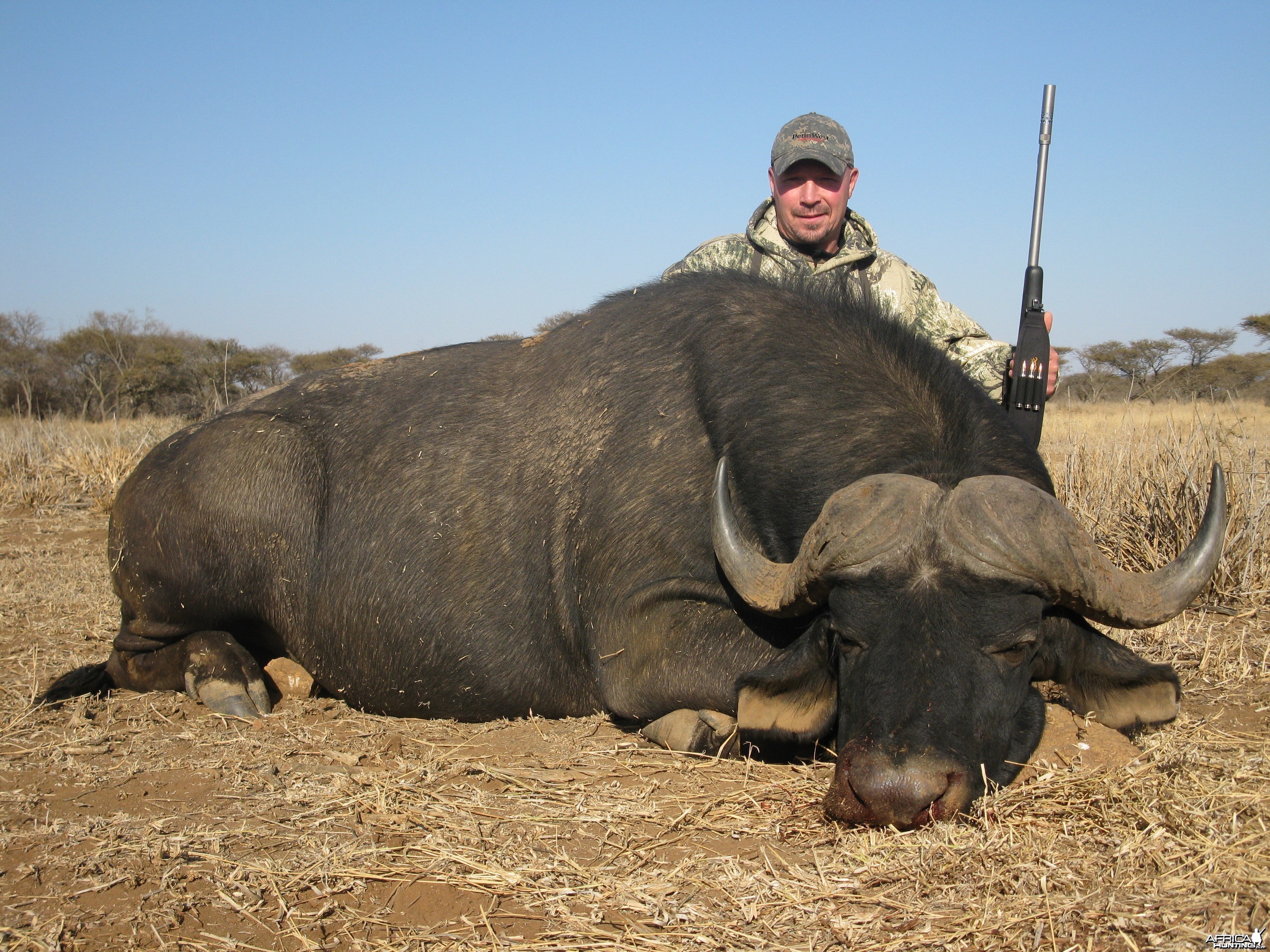2012 Cape Buff, Limpopo