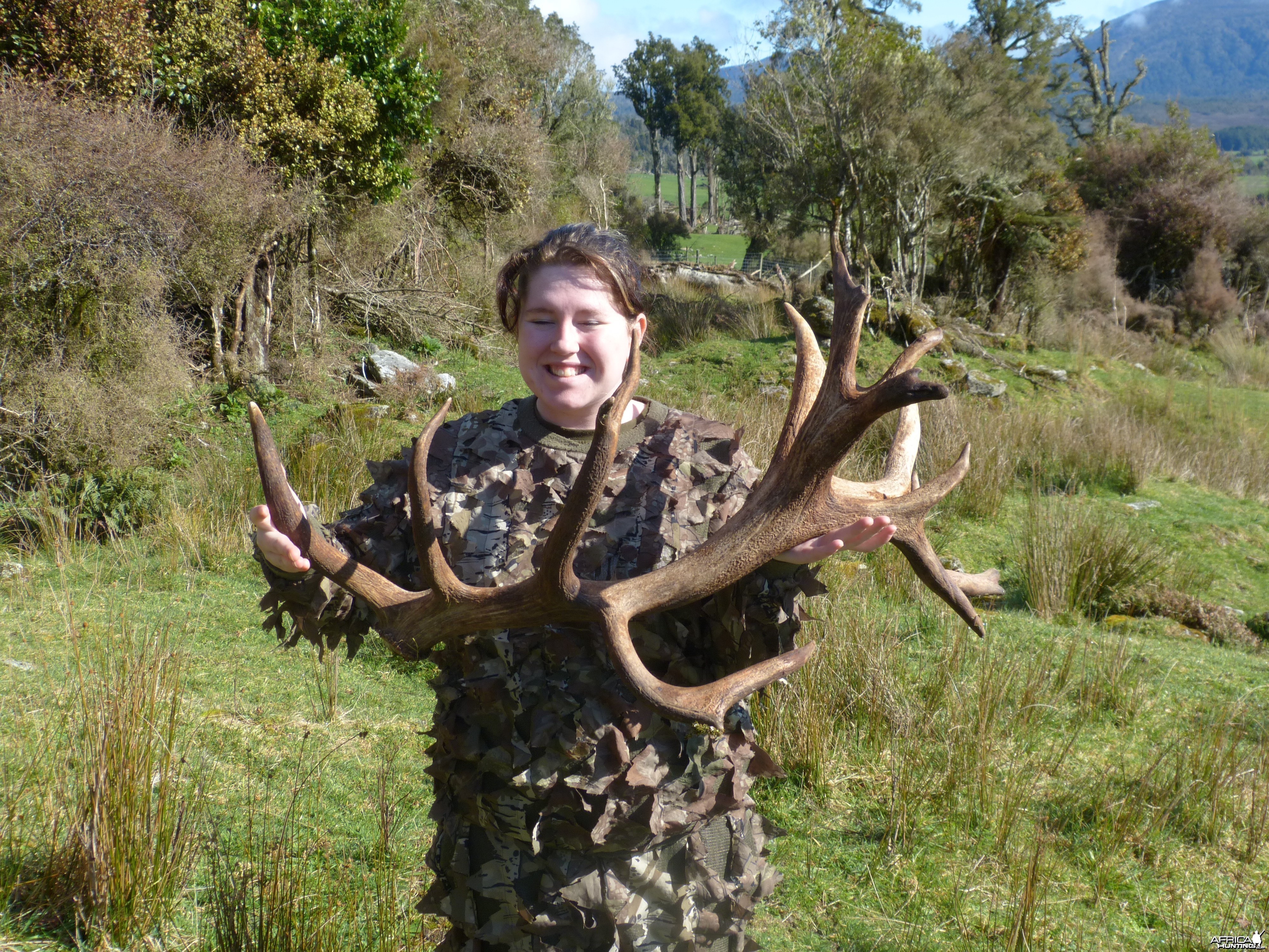 18 piont red deer