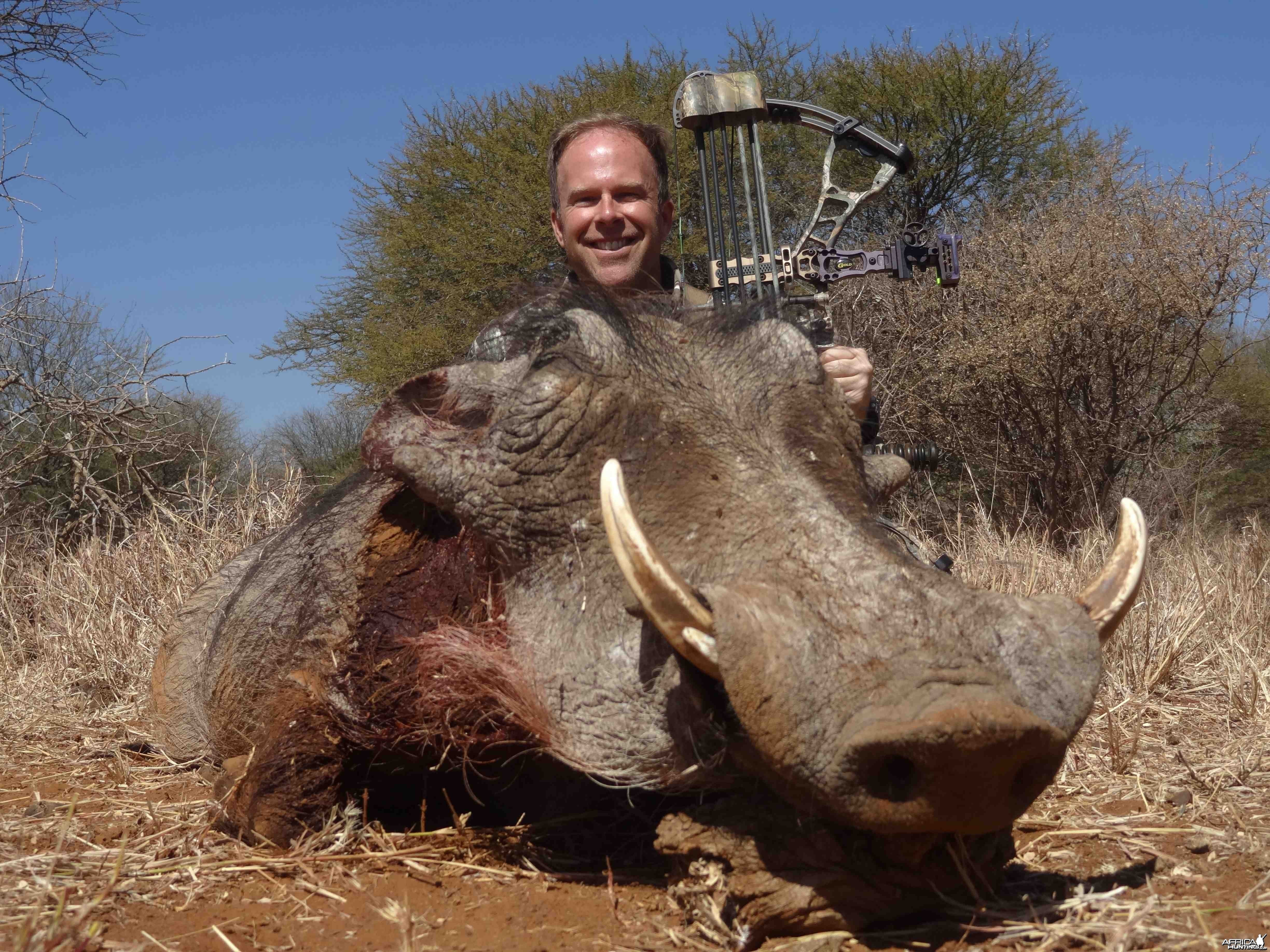 Warthog