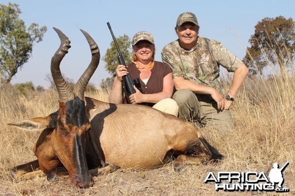 Red Hartebeest