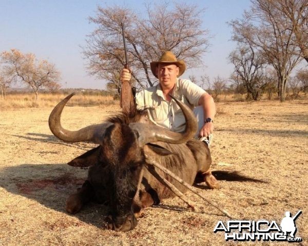 Blue Wildebeest - South Africa hunted with Tolo Safaris