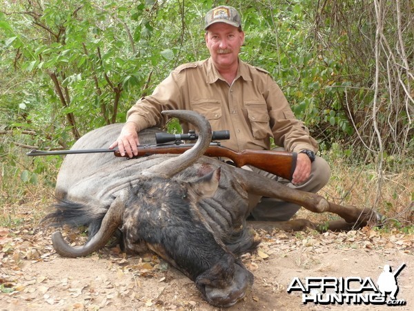 Blue Wildebeest Zim 2010