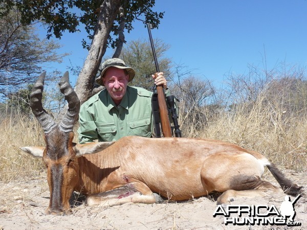 Red Hartebeest Nam 2012