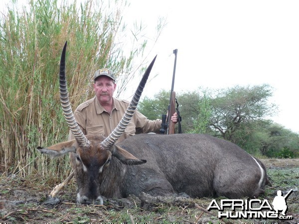 Waterbuck Zim 2010