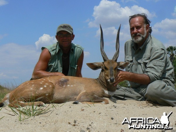 Harnessed Bushbuck